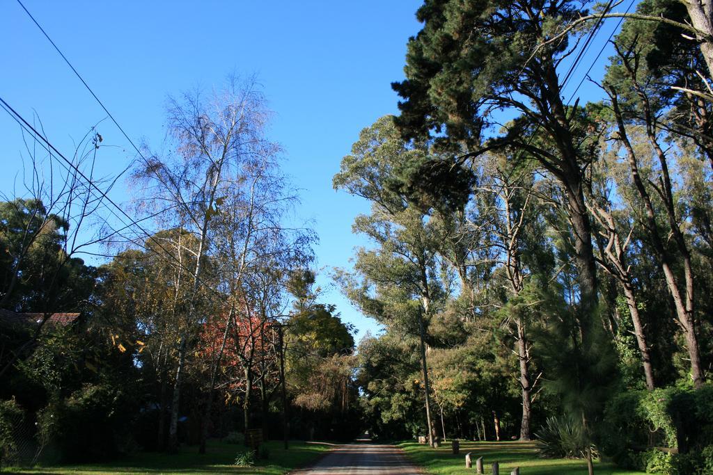 Las Cortaderas Bosque Peralta Ramos 马德普拉塔 外观 照片