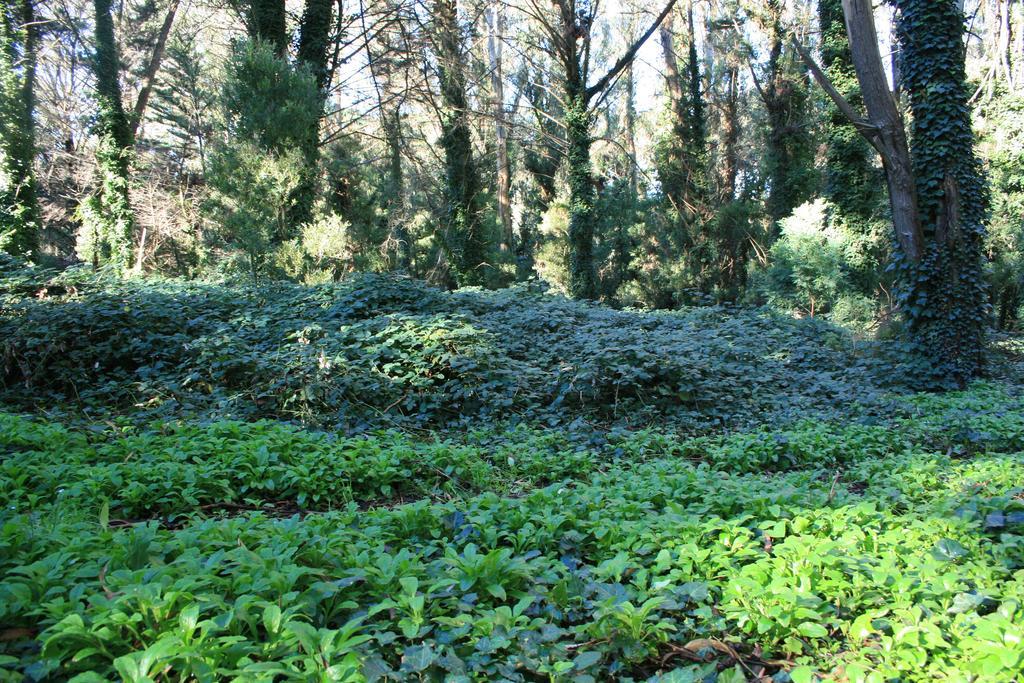Las Cortaderas Bosque Peralta Ramos 马德普拉塔 外观 照片